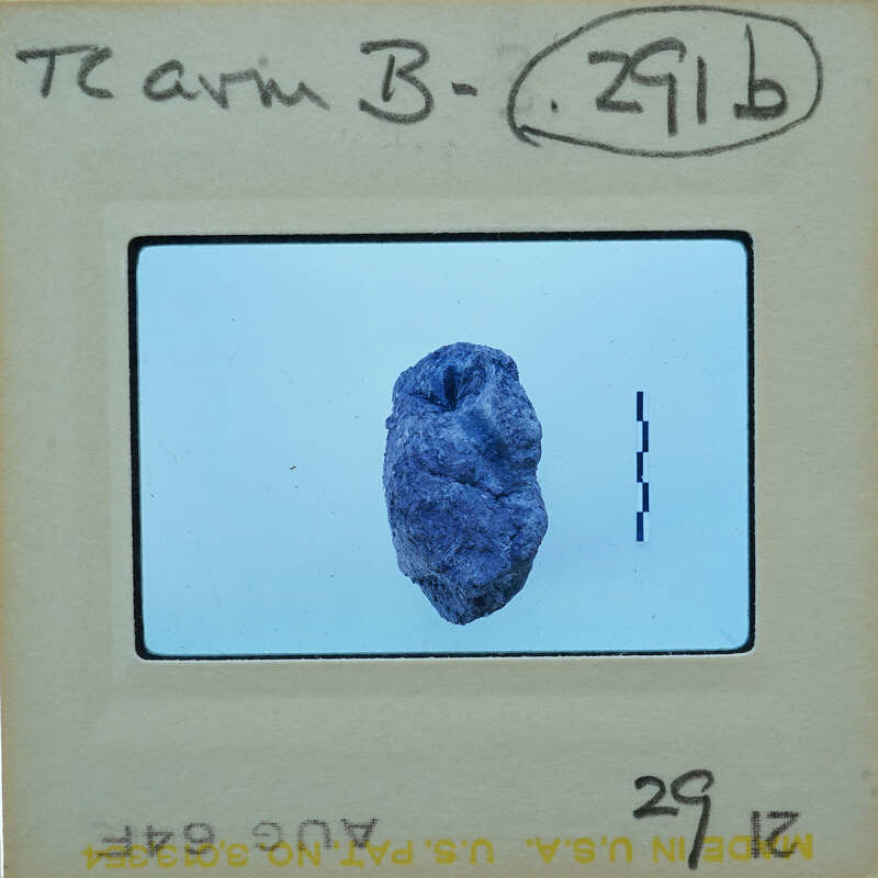 A small, purple rock on a white background.