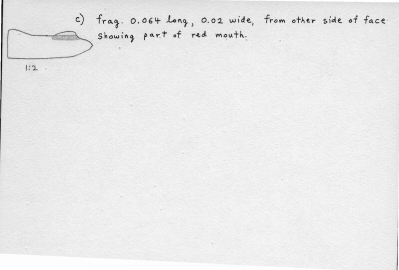 Index card with typed and handwritten information, sometimes including a sketch, of pottery from an excavation.