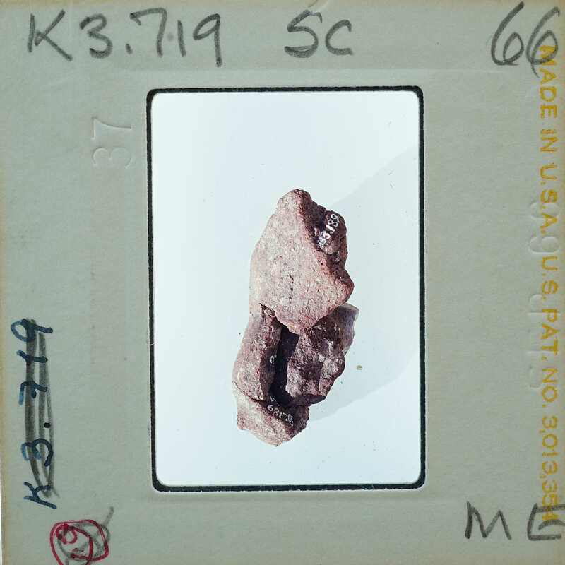 A photograph of a small, irregularly shaped rock with various shades of red and brown on a white background.