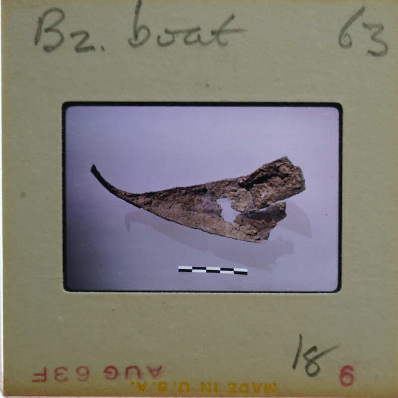 A photograph of a fossilized bone on a card with annotations.