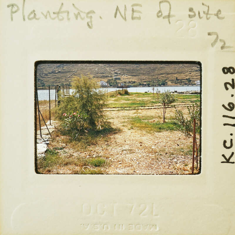 A vintage photograph of a rural landscape with a dirt road and sparse vegetation, possibly taken in the early to mid-20th century.