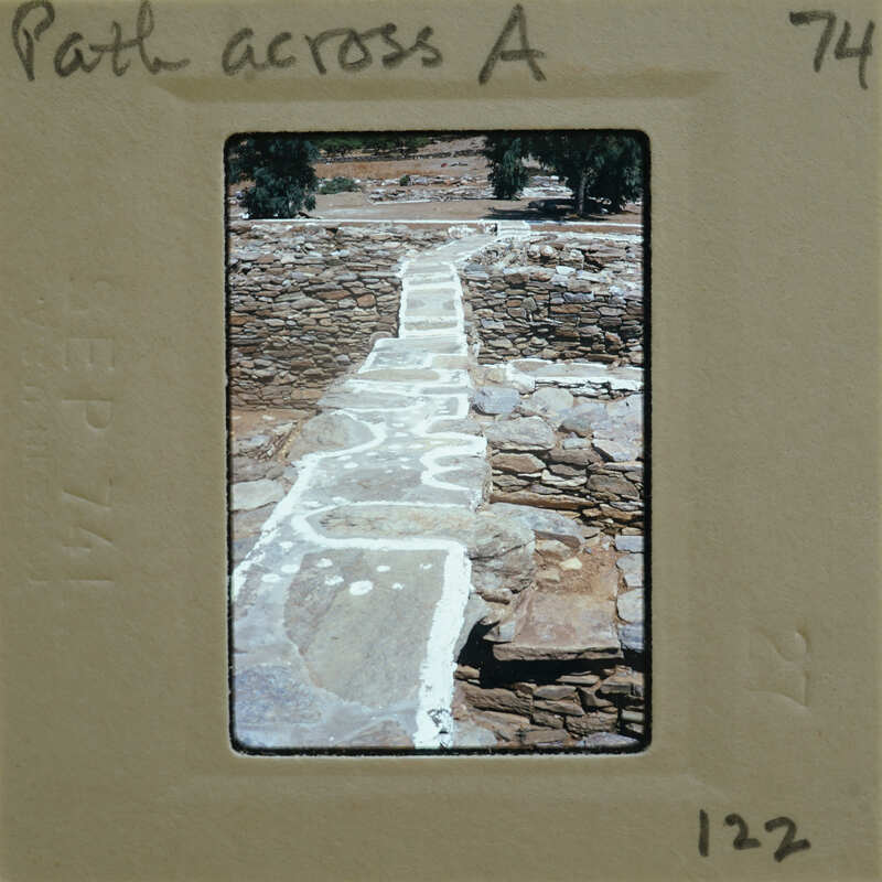 A stone path with ancient ruins and vegetation, captured on a vintage film negative.