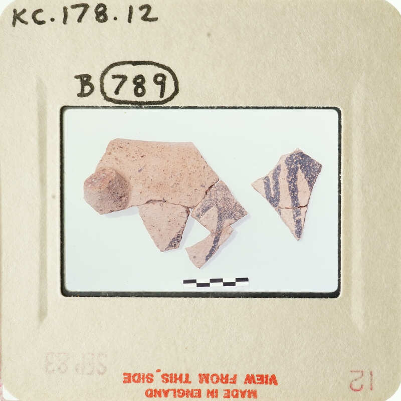 Old ceramic shards with markings on them, photographed and labeled.