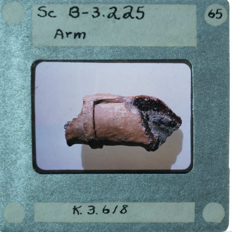 Terracotta figurine arm fragment.