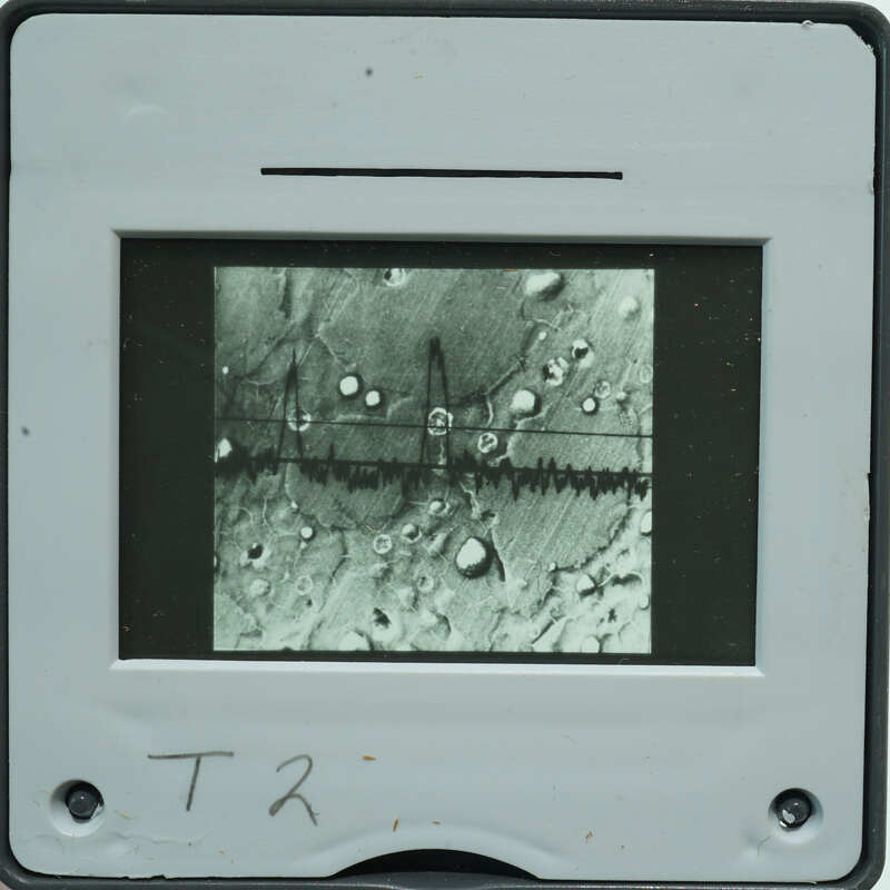 Microscopic detail of stone surface with small circles.