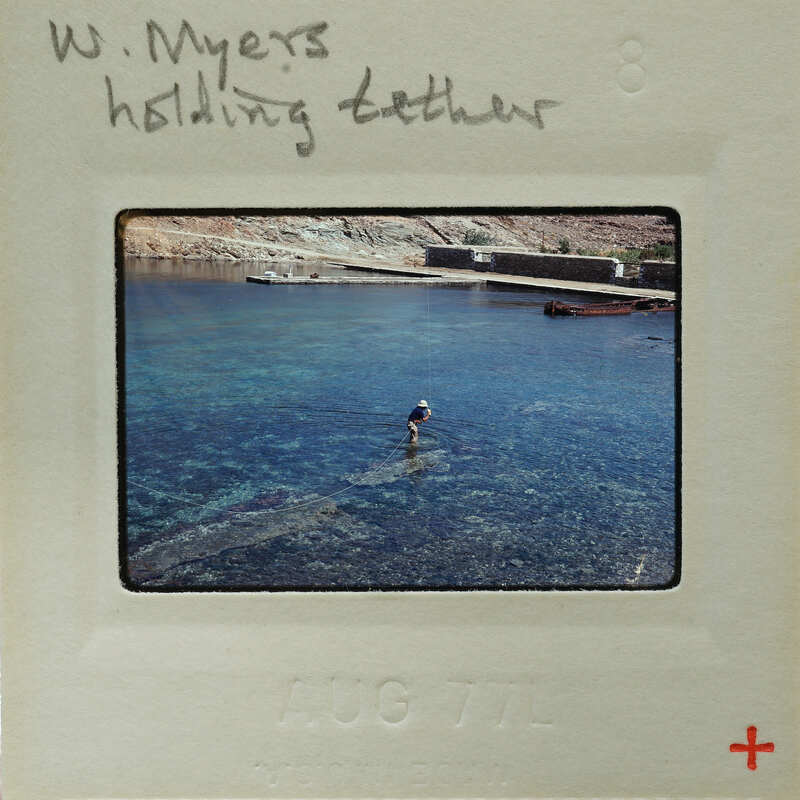 A vintage photo of a person swimming near rocks with blue water, labeled "W. MYERS HOLDING TETHER".