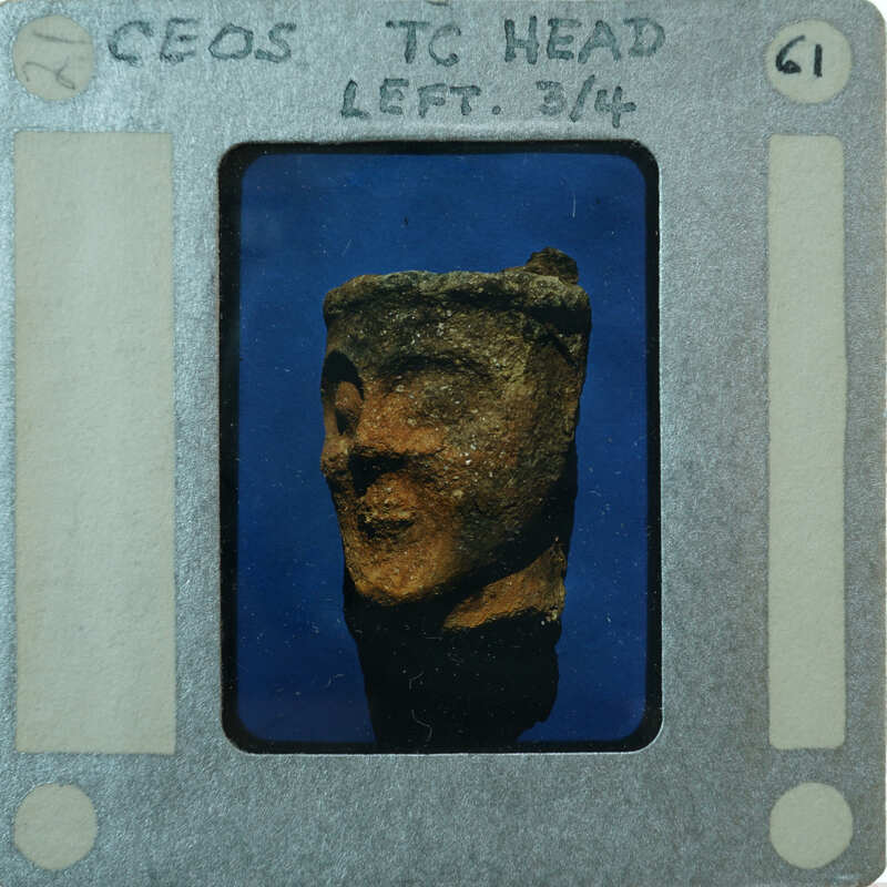 Terracotta head on blue background 3/4 view.