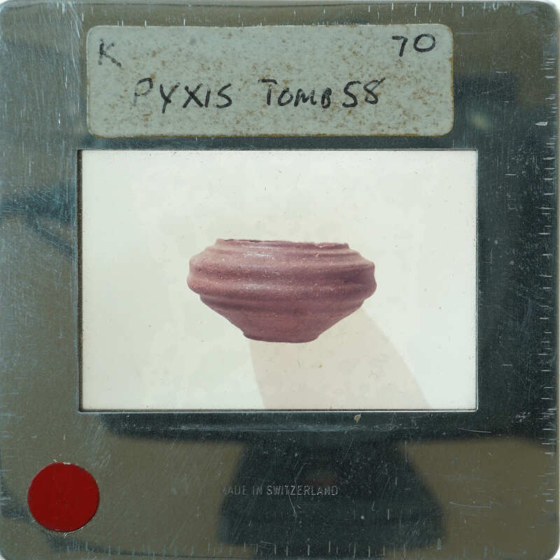 Picture of a small, round, brown object on a white surface with text and numbers around it.