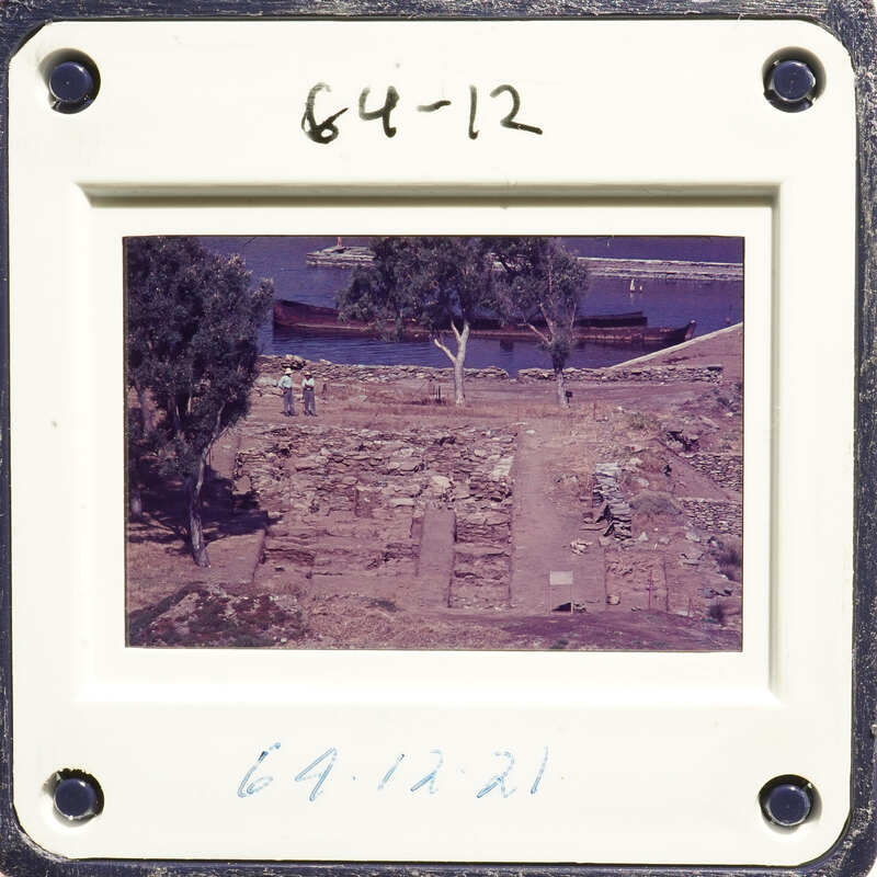 A photograph showing an excavation site with ruins and trees, taken from above.