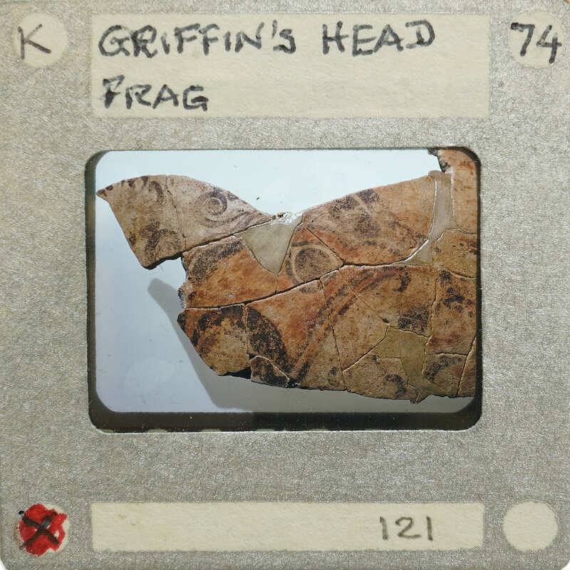 A small, fragmented piece of pottery with a label describing it as "Griffin's Head Frag".