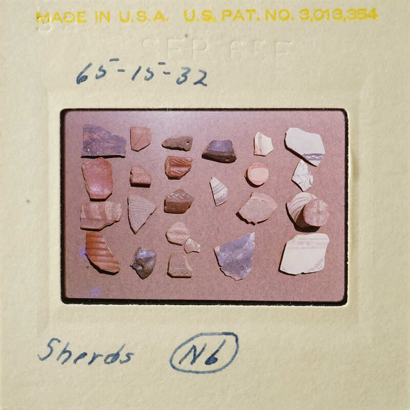 A collection of small, fragmented objects on a surface.