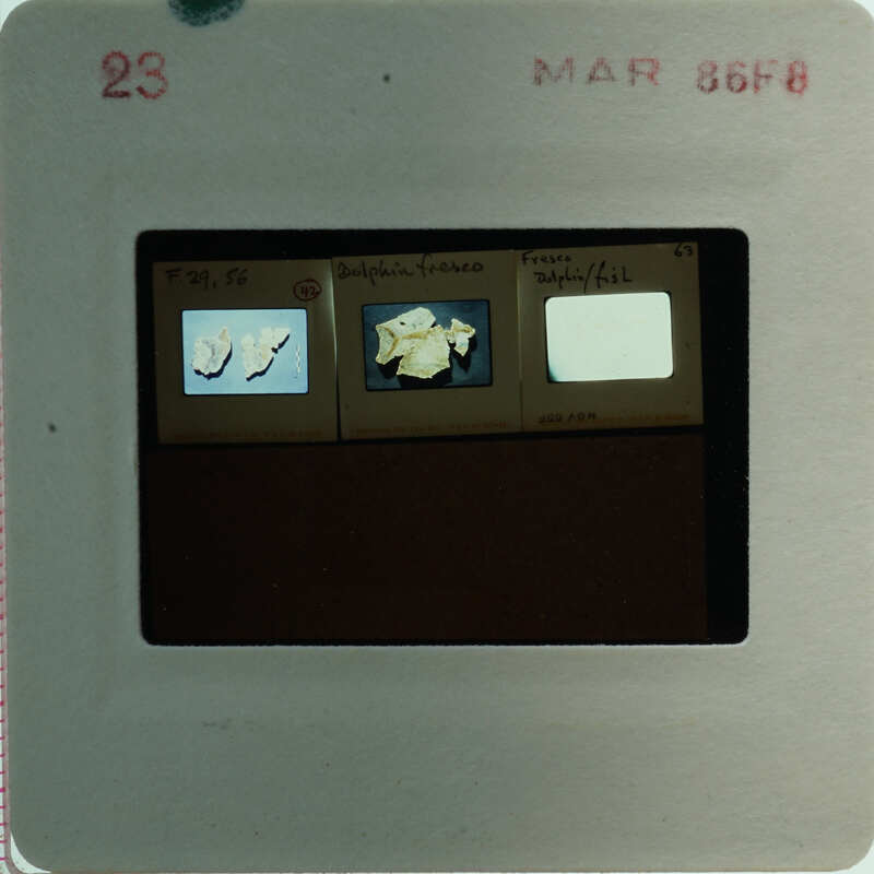 A slide of multiple slides of painted wall plaster fragments