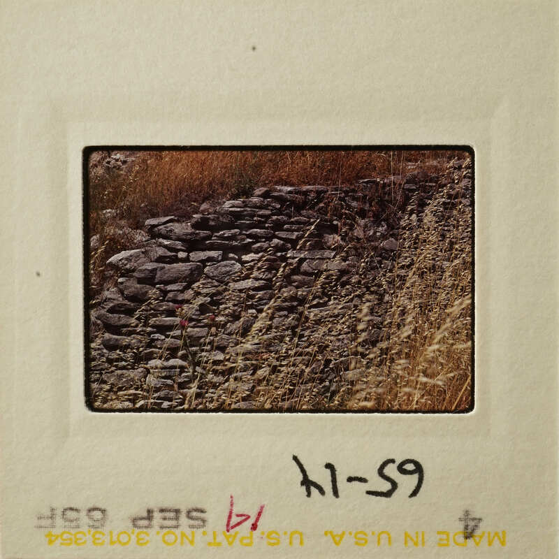 A photograph of a stone wall with vegetation, taken on film.