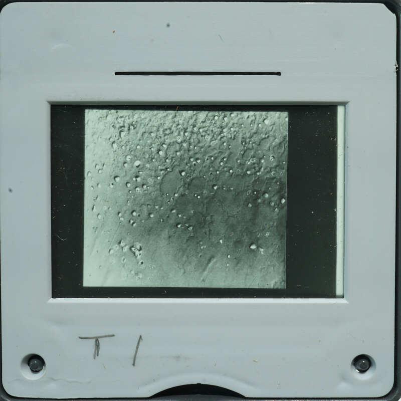 Microscopic detail of stone surface with small circles.