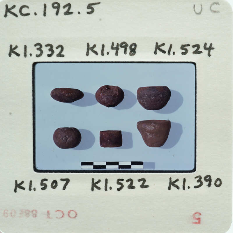 A collection of rocks with labels and measurements on a paper background.