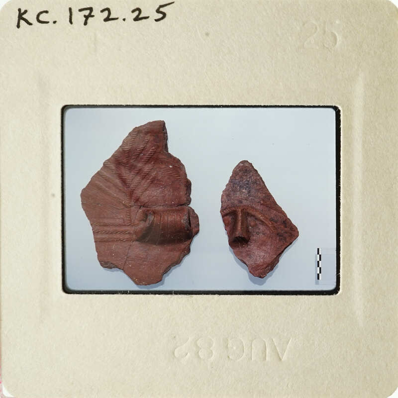 Ancient clay figurines on display, with visible facial features and textures.