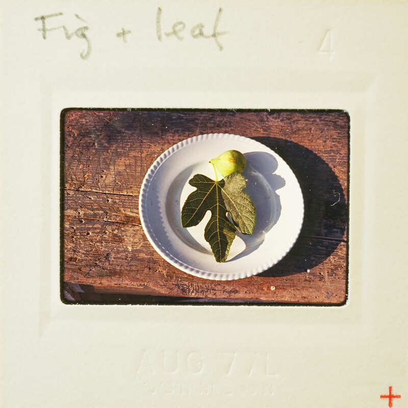 A small white plate with a slice of lemon and mint leaf on a wooden surface.
