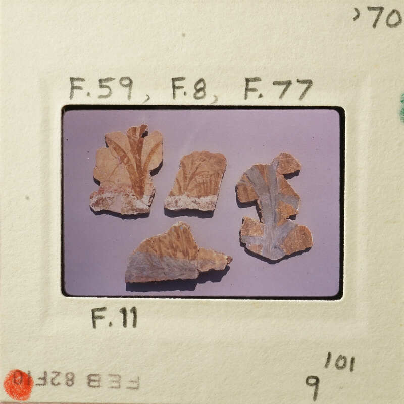 Old pottery shards on display.