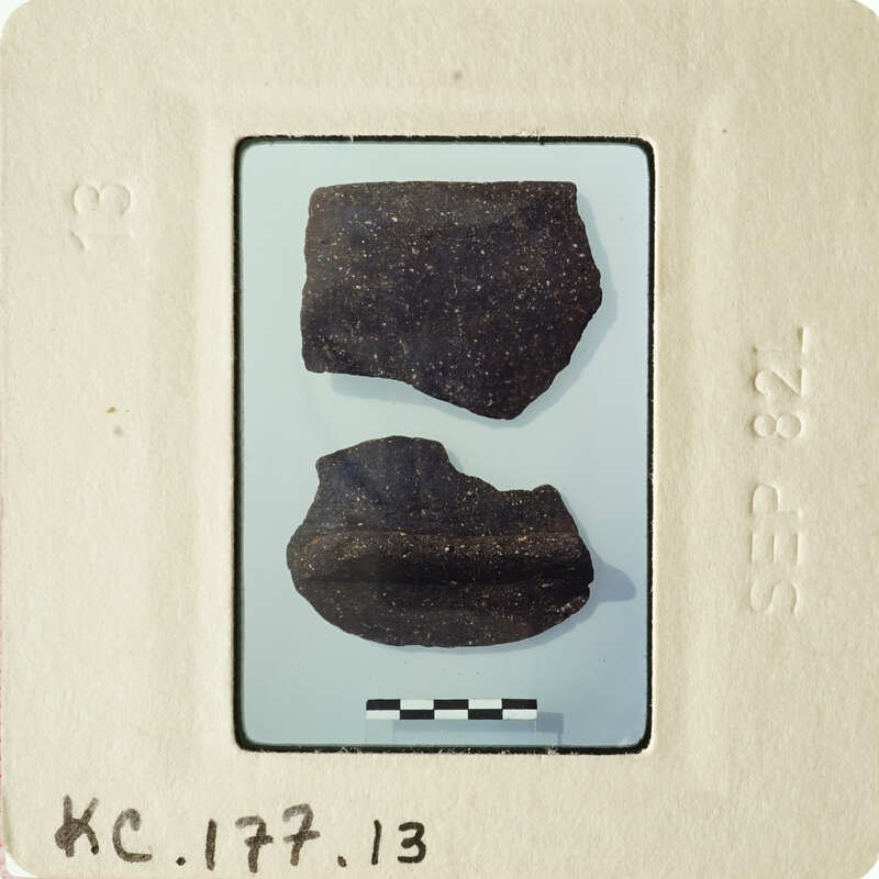 Two fragments of pottery on a white background with labels and measurements.