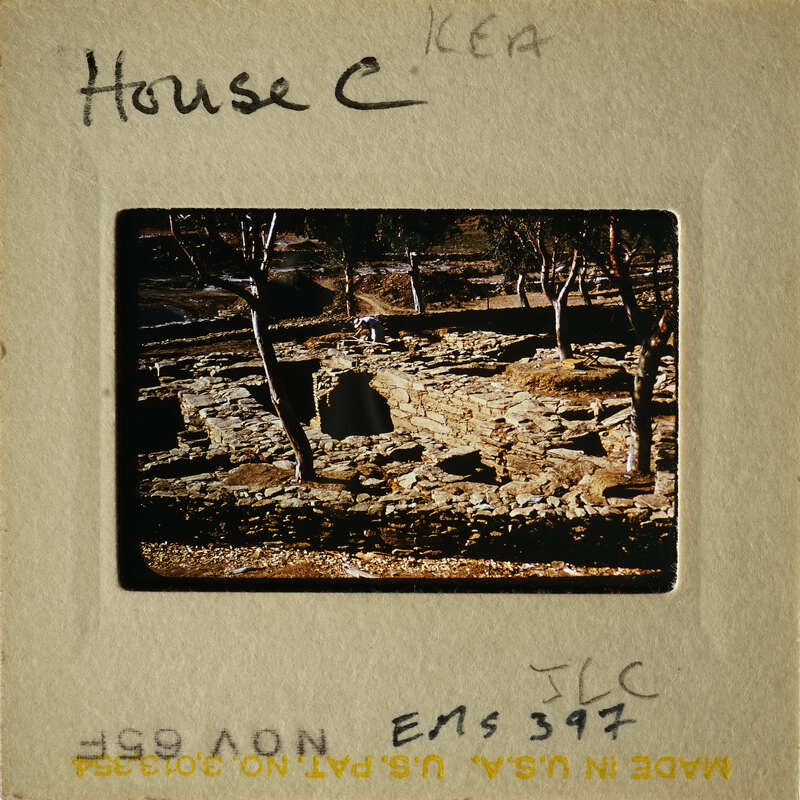 Ancient ruins with bare trees and stone wall.