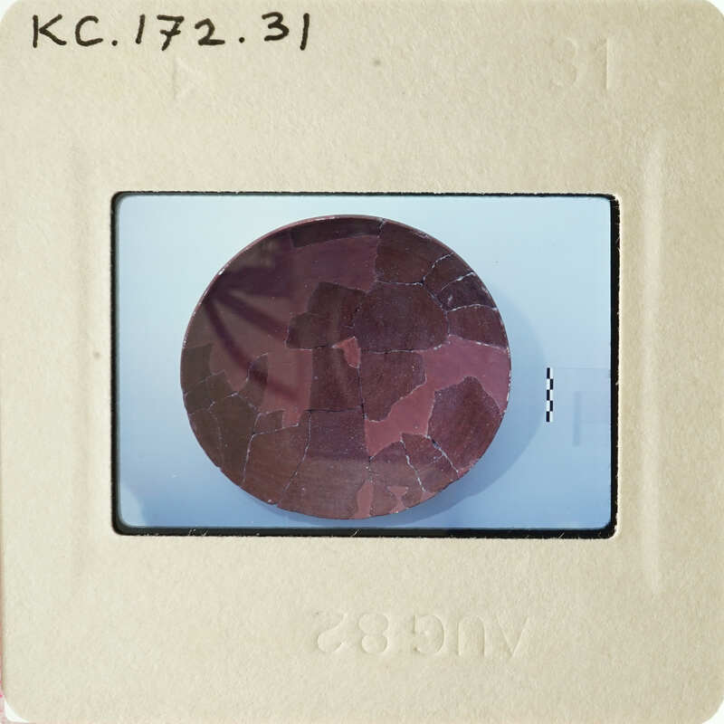 Brown and pink circular object with jagged edges on white surface.