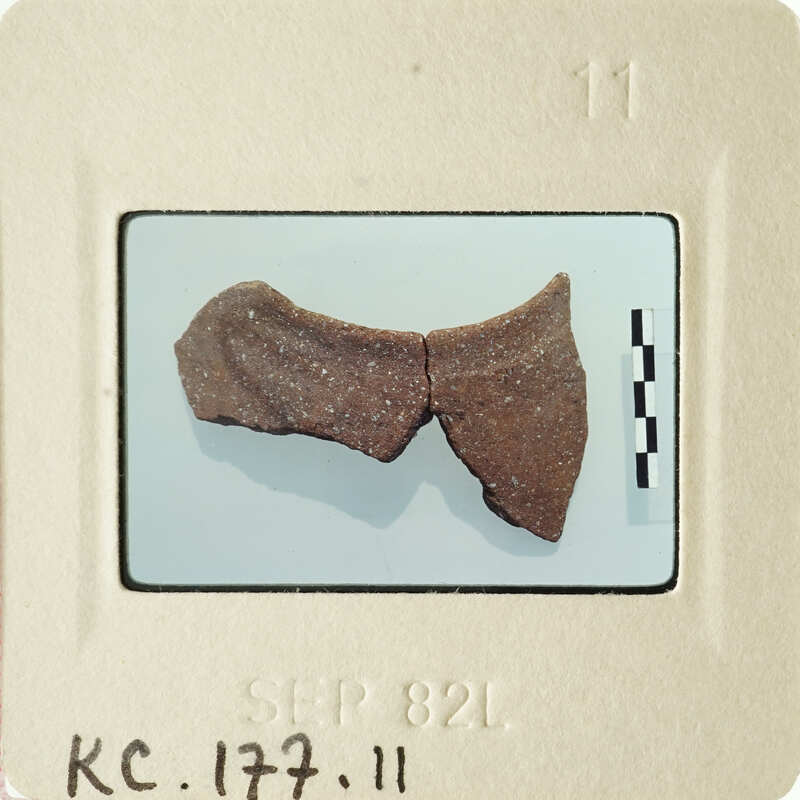 A small, brown, bow-shaped object on a white surface.