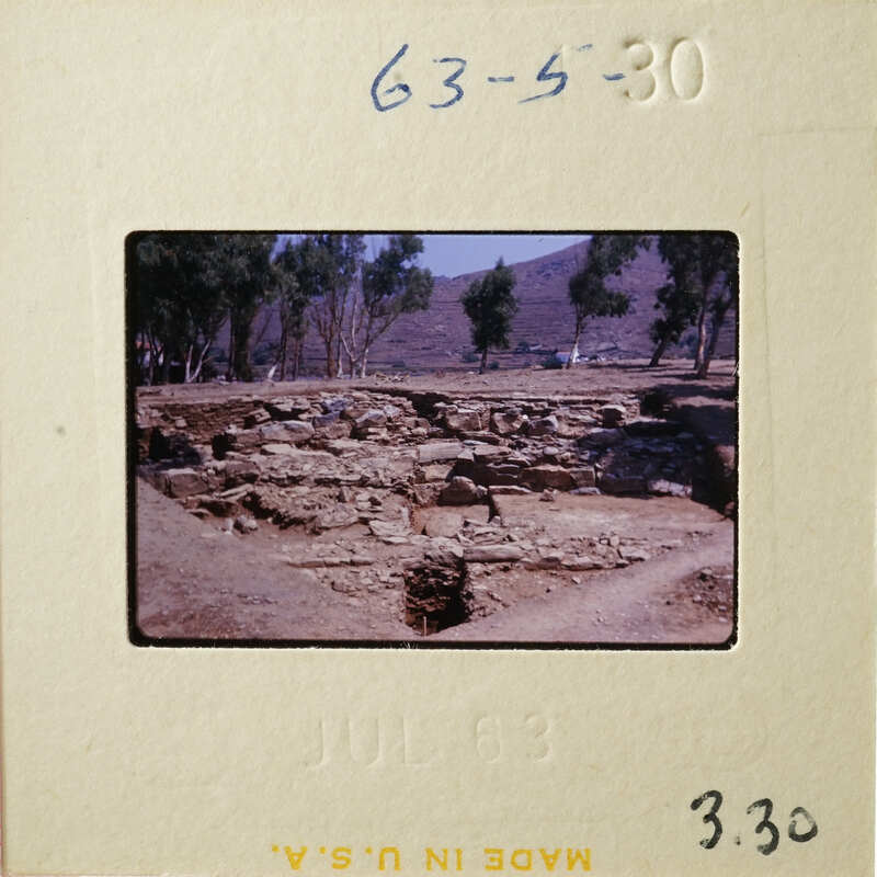 Ancient ruins with trees and mountains in the background.