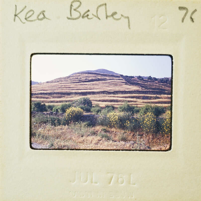 A photograph of a hilly landscape with crops and shrubs, taken by Kea Barley on July 7th, 1976.