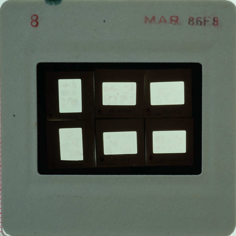 A slide of multiple slides of painted wall plaster fragments