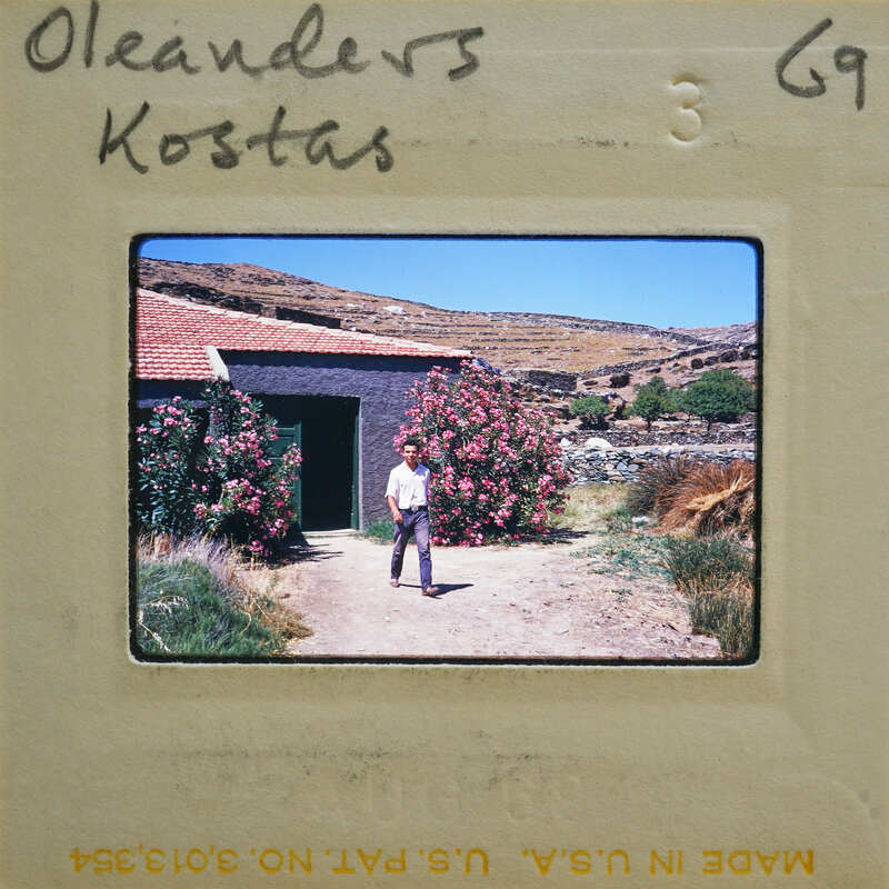 A man standing outside a house with pink flowers and mountains in the background.