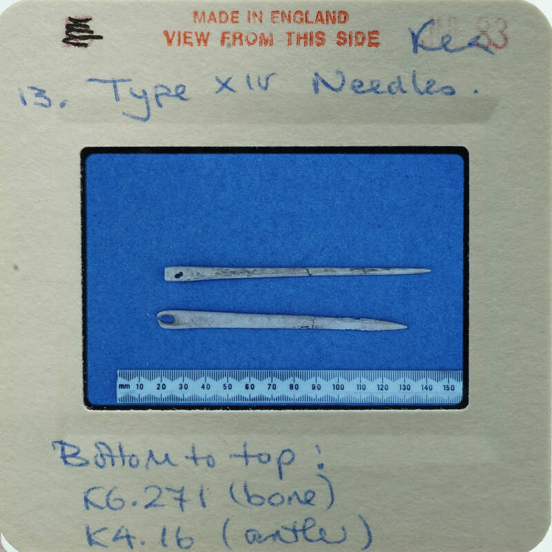 A pair of bone needles on a blue surface.