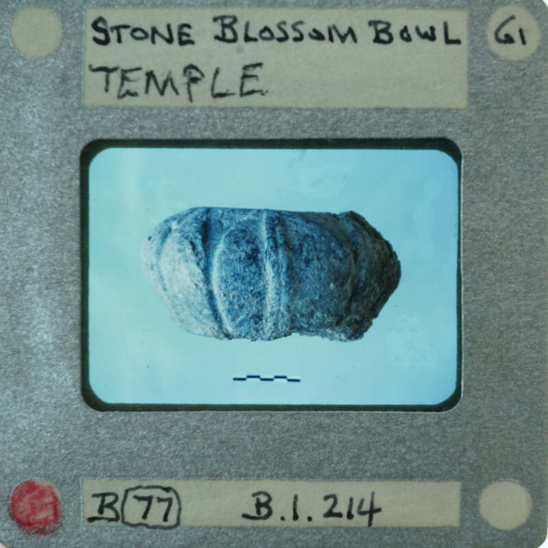 Image of a Stone Blossom Bowl Temple with an item inside, possibly a seed or artifact, on a card with numbers and text annotations.