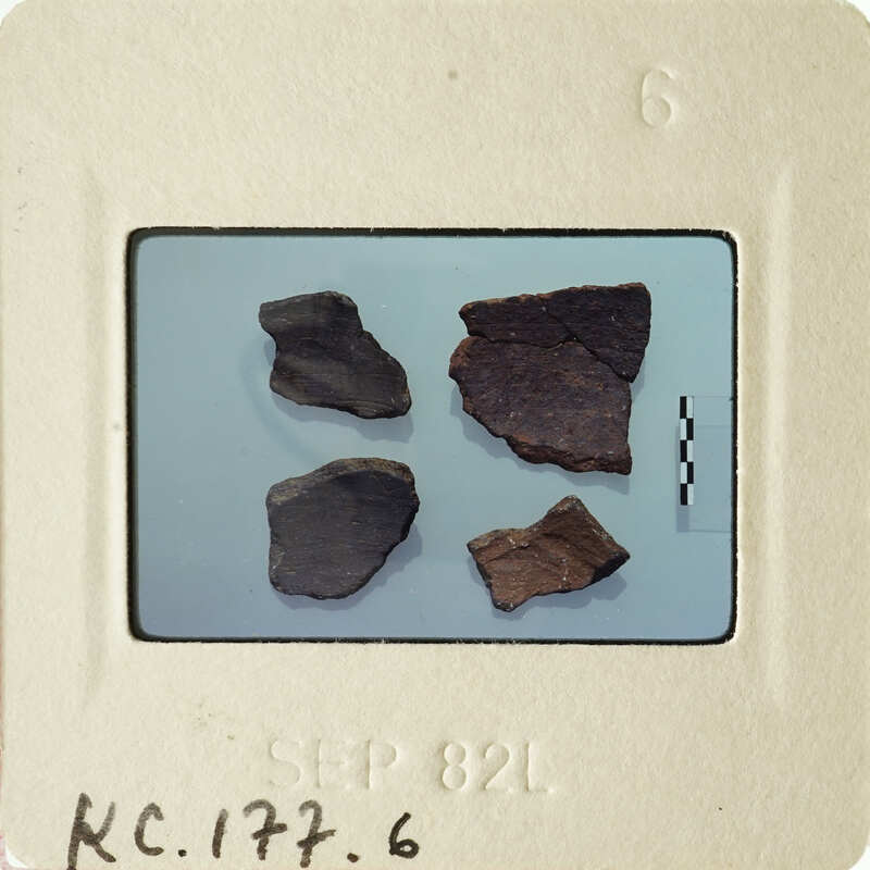 Photograph of ancient pottery shards on a white surface.