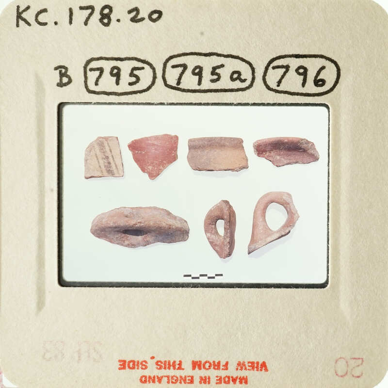 Old archaeological artifacts displayed on a white background, including pottery shards and bone fragments.