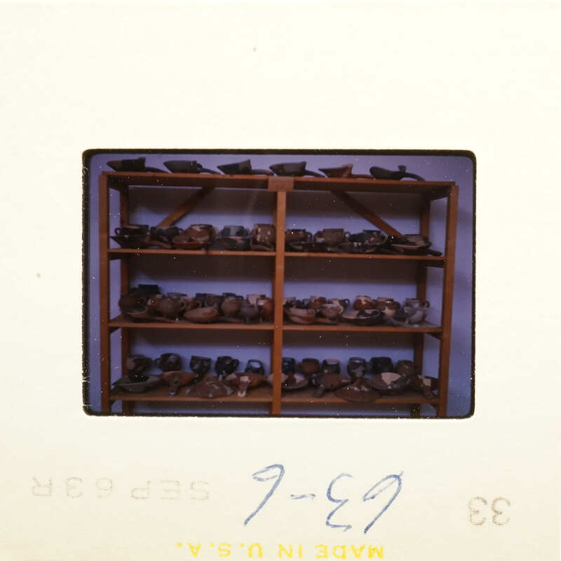 Shelves filled with various objects, possibly rocks or fossils, displayed in an indoor setting.