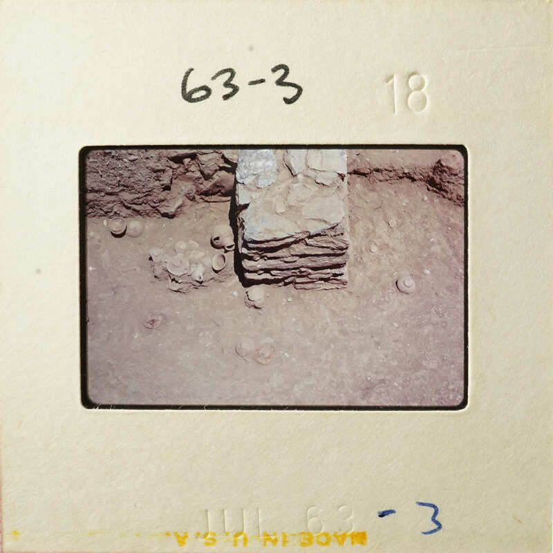 This is an image of a photograph depicting a close-up view of what appears to be archaeological excavation, possibly showing layers of earth and artifacts.