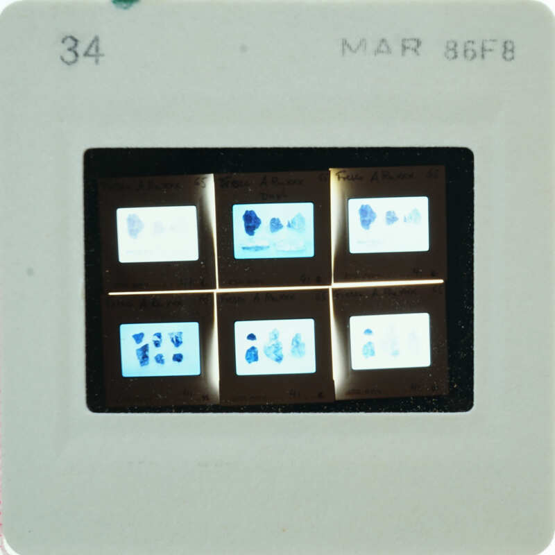 A slide of multiple slides of painted wall plaster fragments.