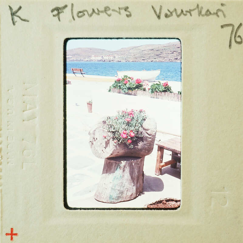 A vintage photo of a seaside setting with flowers, a wooden bench, and the sea in the background.