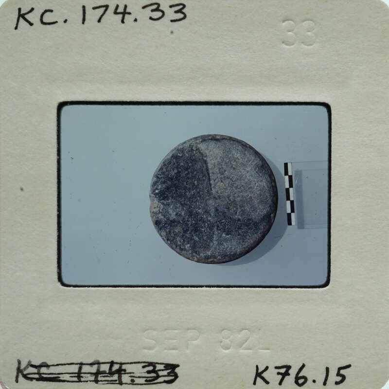 A small, round object on a film strip with white borders and black lines.