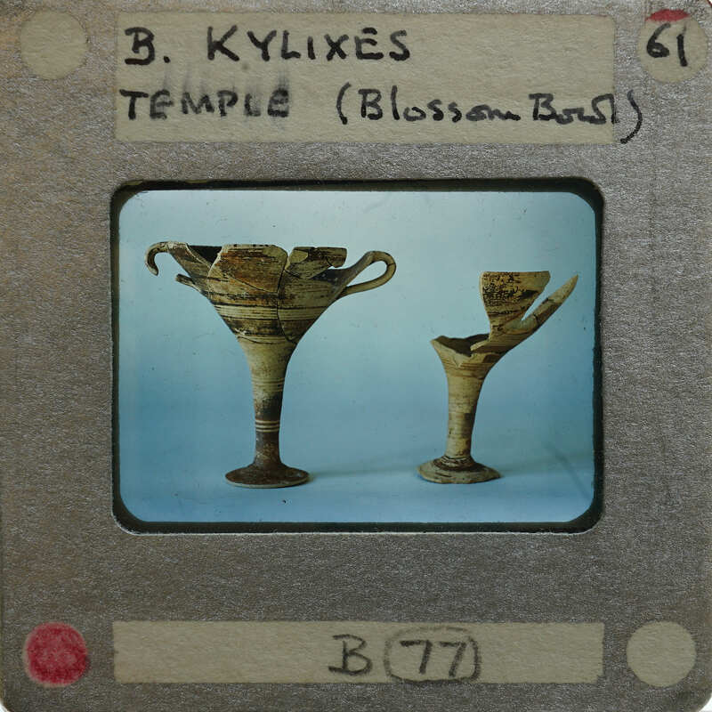 Partially reassembled kylixes in profile.