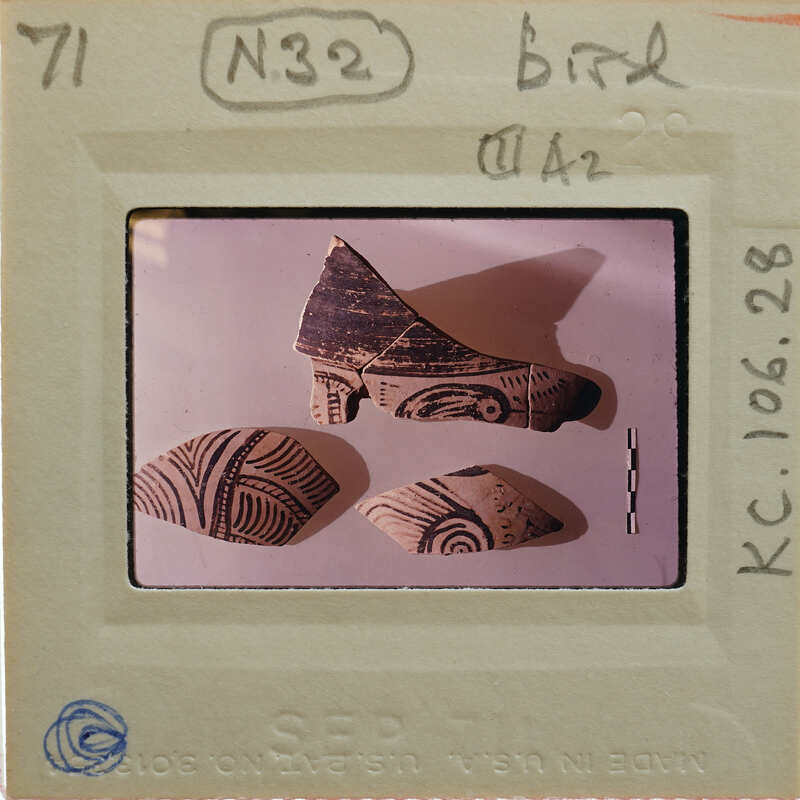 Decorated pottery sherds with bird motif.