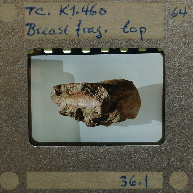 Terracotta fragment on white background.