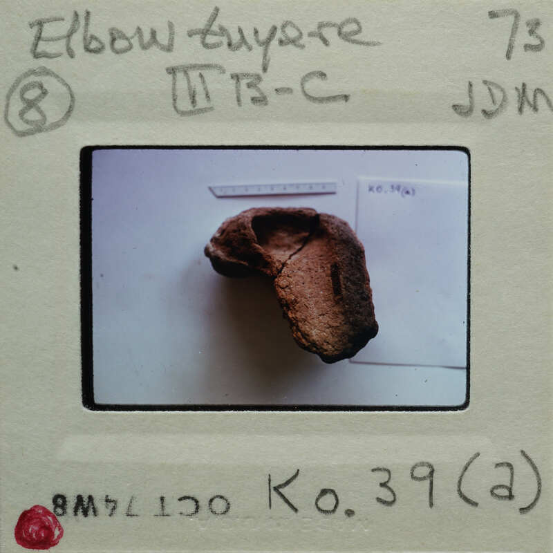 A photograph of a fossilized bone with labels and notes on the back.