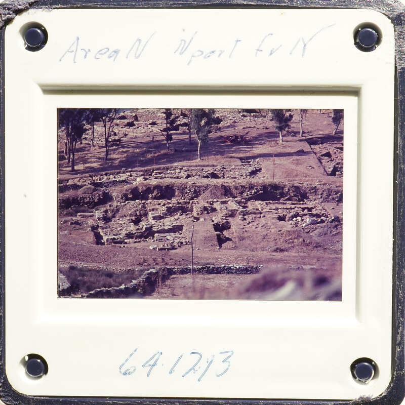 Aerial view of an ancient archaeological site with ruins and vegetation.
