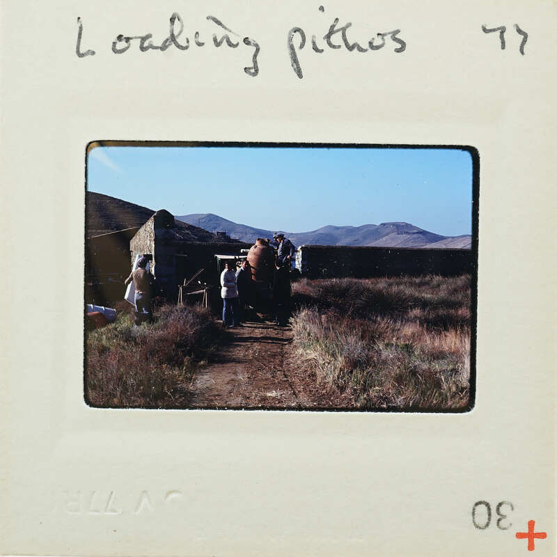 People standing near a large animal on the road, with mountains in the background.