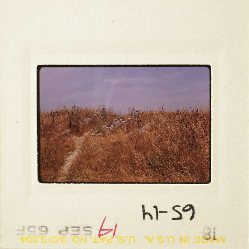 A photograph of a field with a dirt road and overgrown vegetation, displayed on a white card with red markings.