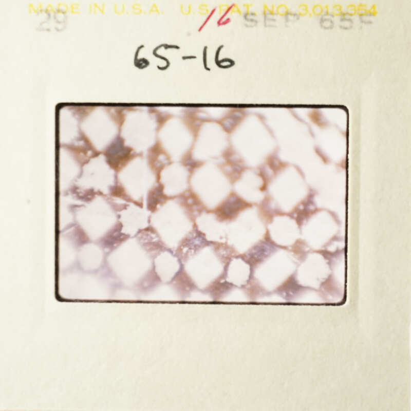 This is an image of a microscopic view of a diamond pattern of white on red-brown background.