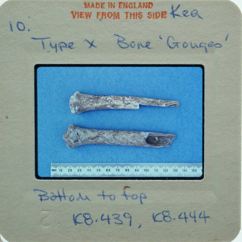 Two small, thin bone fragments on a blue background with measurements and labels.