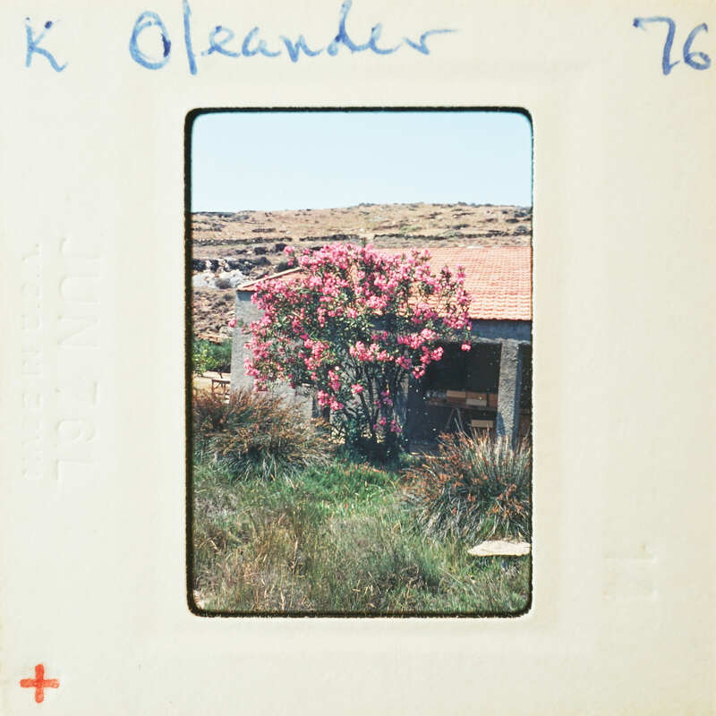 A vintage photo of a house with pink flowers and mountains in the background, enclosed within an old Polaroid frame.