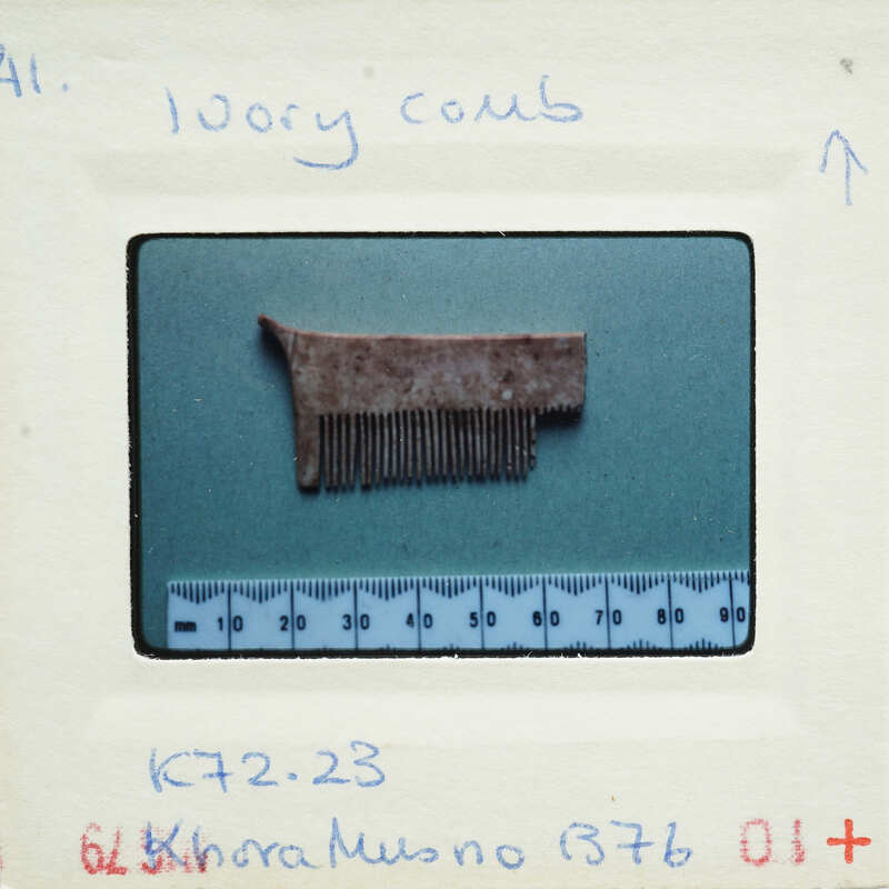 Fragment of ivory comb on blue background.